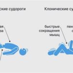 оргазм от миньета: полное руководство для профессионалов