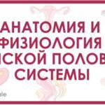 Смотреть фильм онлайн «Женские проблемы» 1974: Тонкая драма о взрослении и свободе выбора