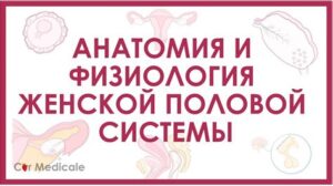Проблема женском половом органе: причины, симптомы и современные методы решения интимного дискомфорта