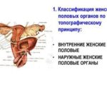 Женские проблемы с мочевым: причины, симптомы и современные методы лечения