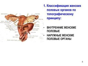 Женские проблемы половых органов: симптомы, причины и современные методы лечения